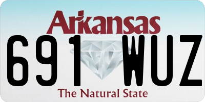 AR license plate 691WUZ