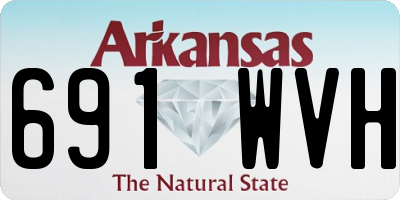 AR license plate 691WVH