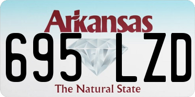 AR license plate 695LZD