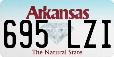 AR license plate 695LZI