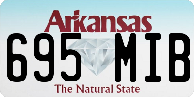 AR license plate 695MIB