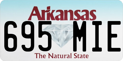 AR license plate 695MIE