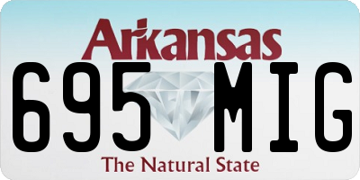 AR license plate 695MIG