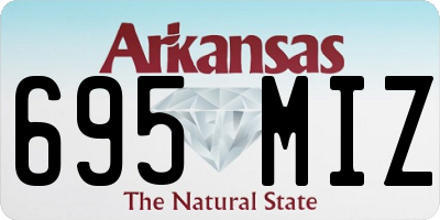 AR license plate 695MIZ