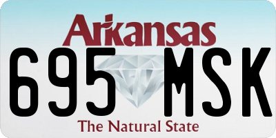 AR license plate 695MSK