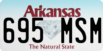 AR license plate 695MSM