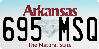 AR license plate 695MSQ