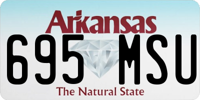 AR license plate 695MSU