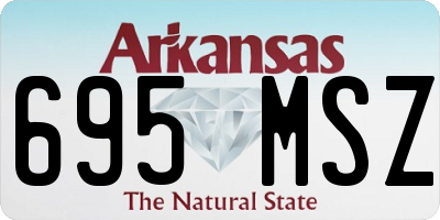 AR license plate 695MSZ