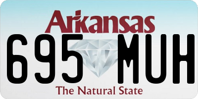 AR license plate 695MUH