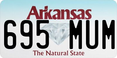 AR license plate 695MUM