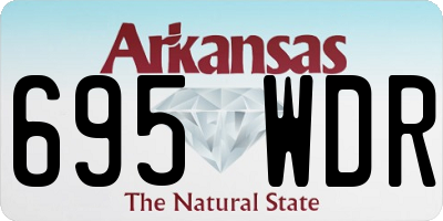 AR license plate 695WDR