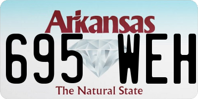 AR license plate 695WEH