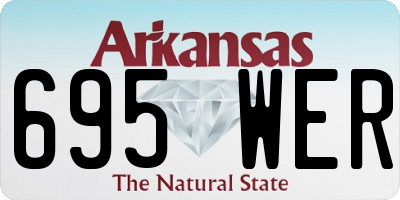 AR license plate 695WER