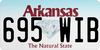 AR license plate 695WIB