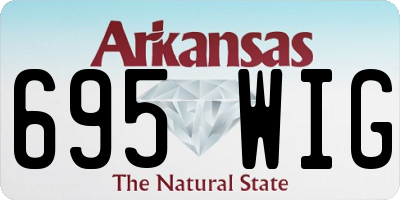 AR license plate 695WIG