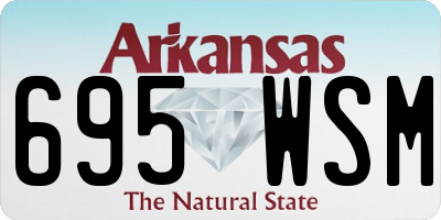 AR license plate 695WSM