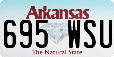 AR license plate 695WSU