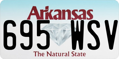 AR license plate 695WSV