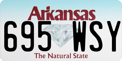 AR license plate 695WSY