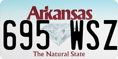 AR license plate 695WSZ