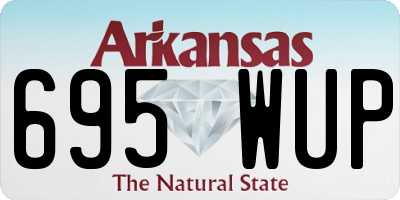 AR license plate 695WUP
