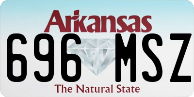 AR license plate 696MSZ