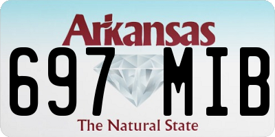 AR license plate 697MIB