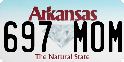 AR license plate 697MOM