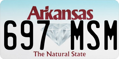 AR license plate 697MSM