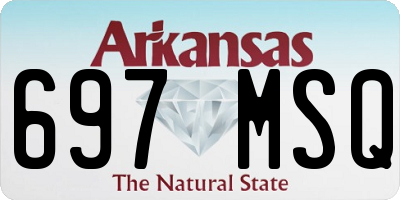 AR license plate 697MSQ