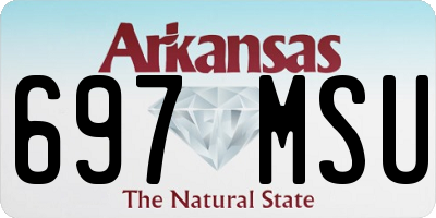 AR license plate 697MSU