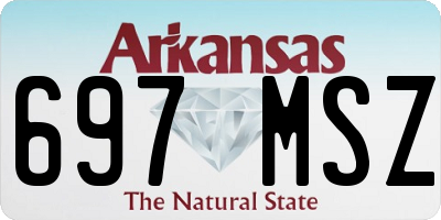 AR license plate 697MSZ