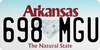 AR license plate 698MGU