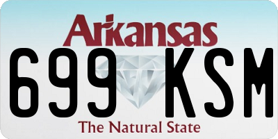 AR license plate 699KSM