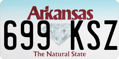 AR license plate 699KSZ