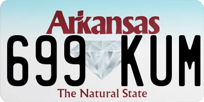 AR license plate 699KUM