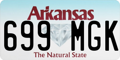 AR license plate 699MGK