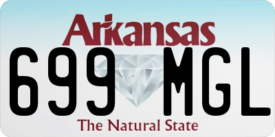 AR license plate 699MGL