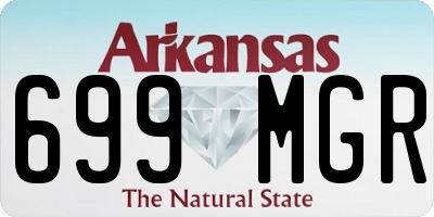 AR license plate 699MGR