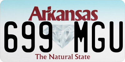 AR license plate 699MGU