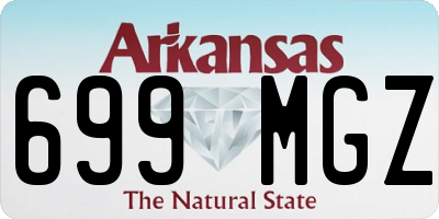 AR license plate 699MGZ