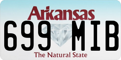 AR license plate 699MIB