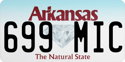 AR license plate 699MIC