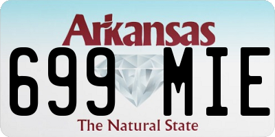 AR license plate 699MIE