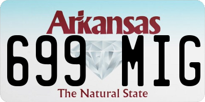 AR license plate 699MIG