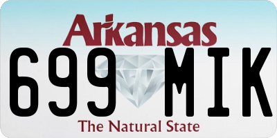 AR license plate 699MIK