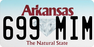 AR license plate 699MIM