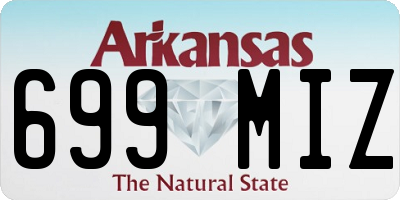 AR license plate 699MIZ