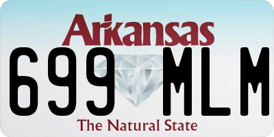 AR license plate 699MLM
